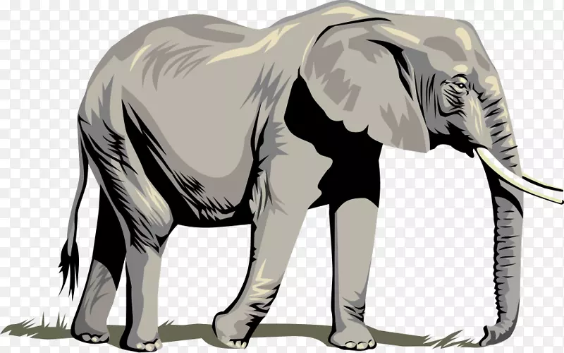 非洲大象电脑图标剪辑免费大象图片
