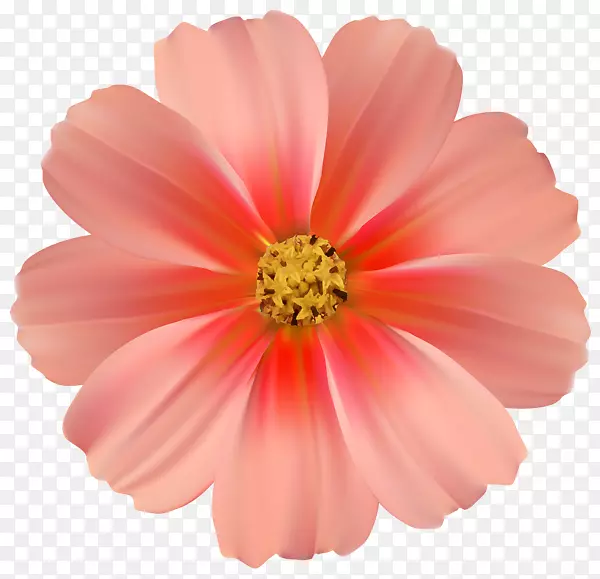 粉色花朵玫瑰剪贴画-有趣的雏菊剪贴画