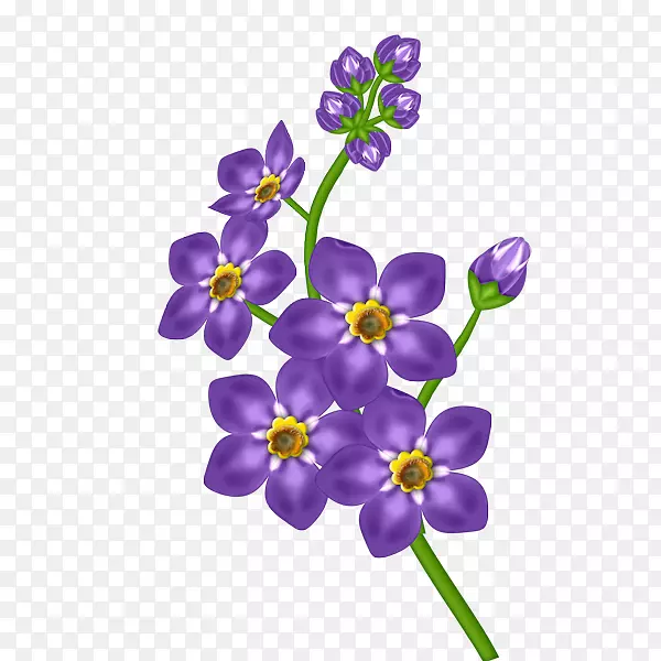 紫花紫罗兰剪贴画-无花剪贴画