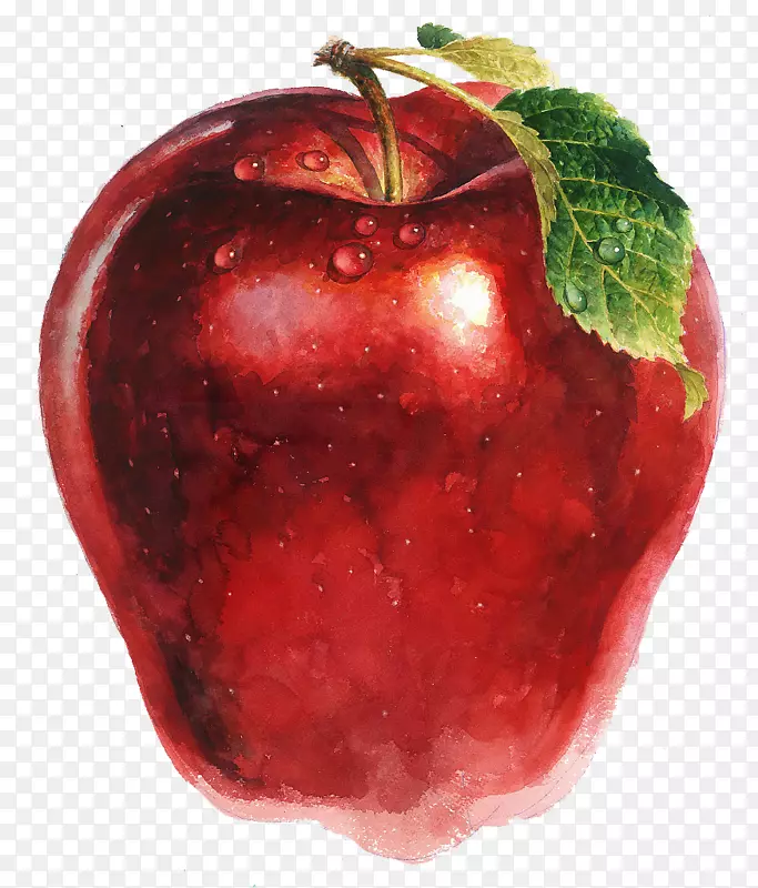 苹果绘制草莓插图.手绘苹果图片