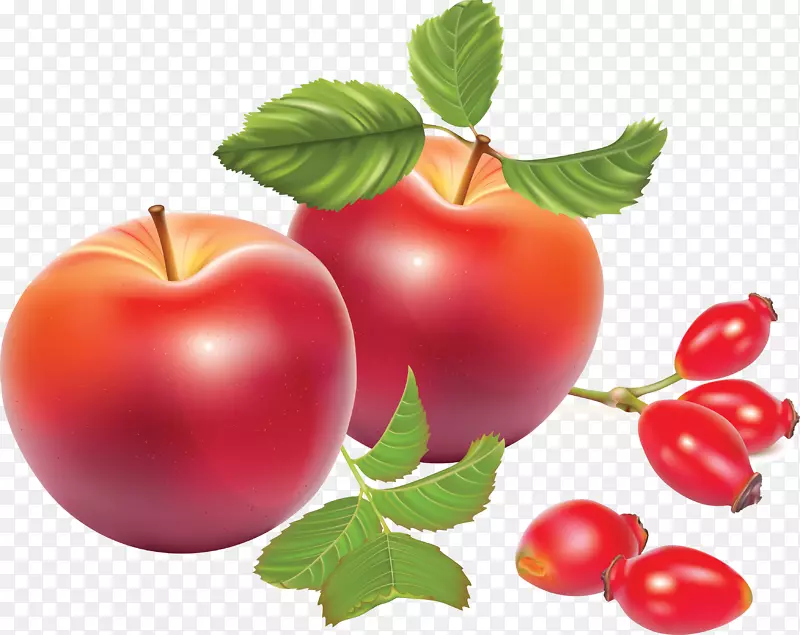 茶玫瑰嘻哈狗-玫瑰插图-3D图像画食物，苹果