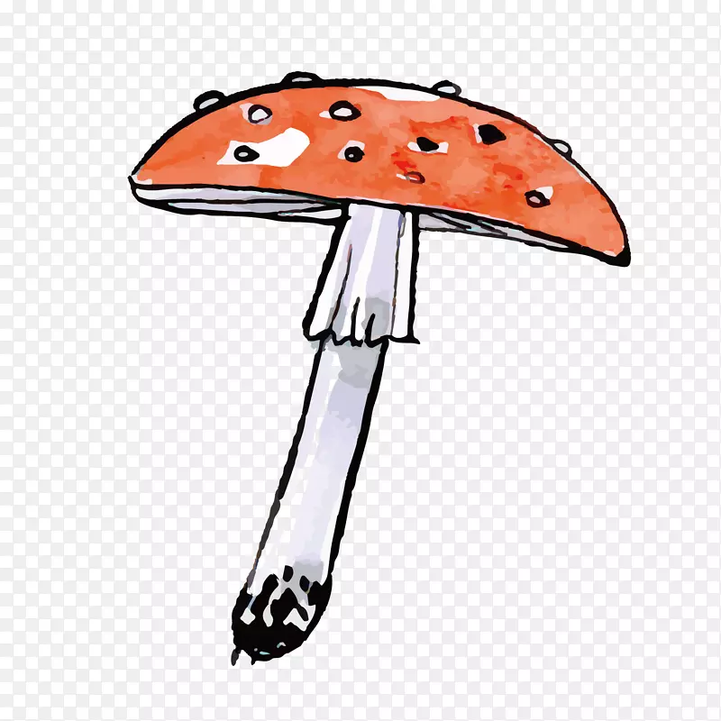 蘑菇.手绘载体真菌野生蘑菇