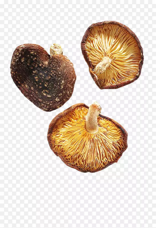 香菇-黄干蘑菇