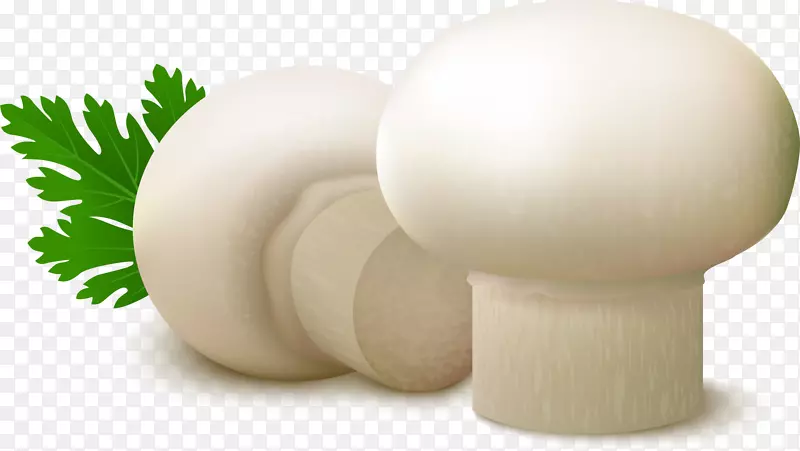 普通蘑菇食品真菌-白色美味蘑菇