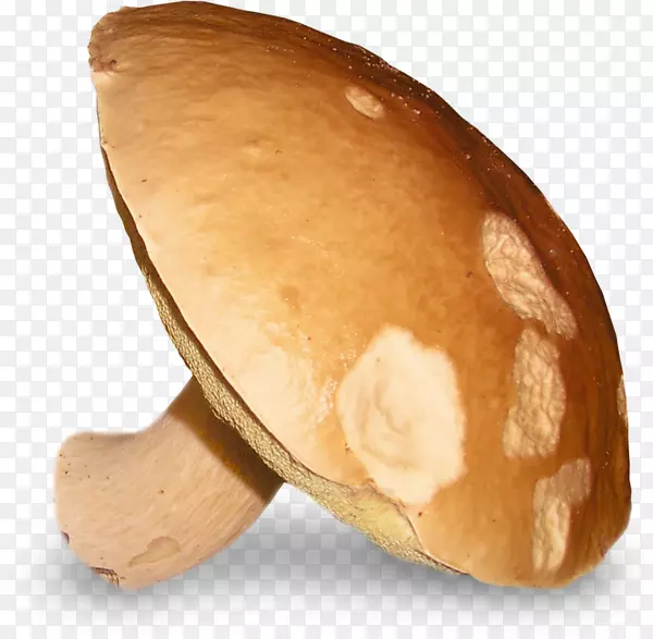 蘑菇牛肝菌剪贴画-大蘑菇图像