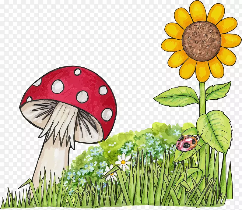 蘑菇素描插图-自然场景剪贴画