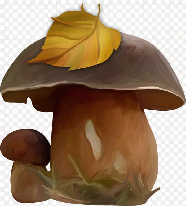食用菌.手绘蘑菇