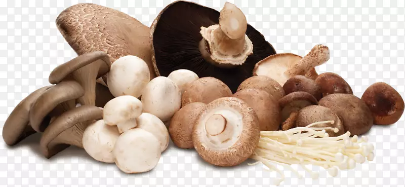 食用菌，普通香菇，蔬菜，木母鸡，新鲜健康蘑菇