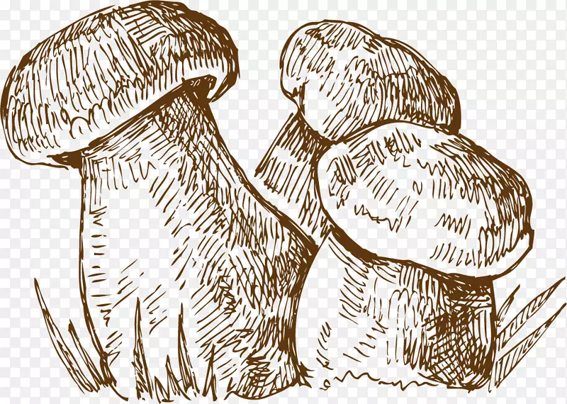 早餐包子马拉唐食物吃手绘素描蘑菇