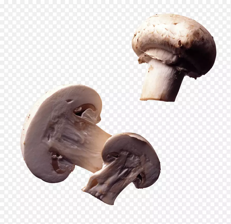 普通蘑菇食用菌.三种蘑菇切成两半