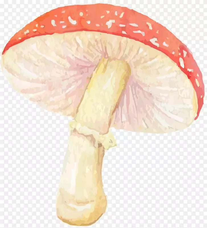 蘑菇材料可爱的粉红蘑菇