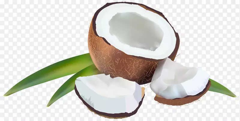 椰子水椰奶剪辑艺术-椰子PNG透明图像
