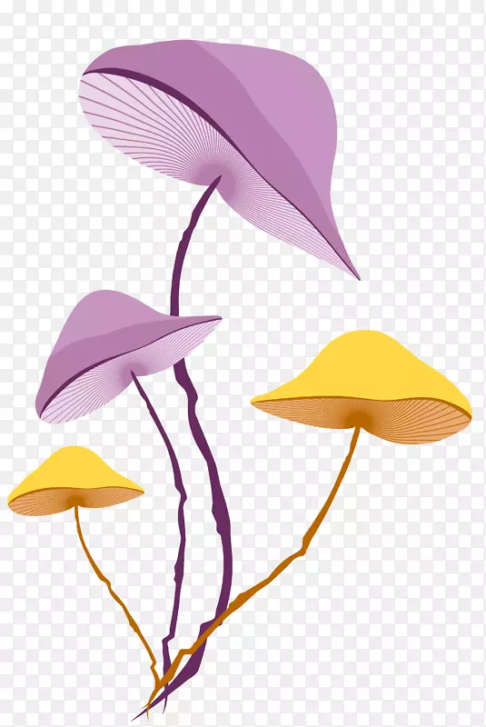 黄色摄影剪贴画.紫黄色蘑菇材料