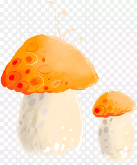 蘑菇电脑图标.小手绘卡通蘑菇