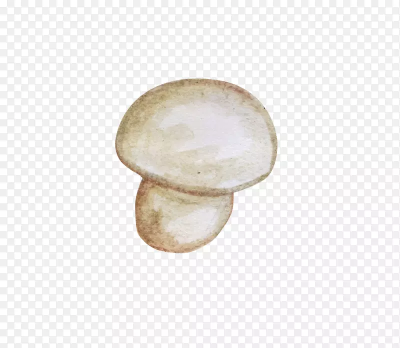 白灵菇香菇画手绘蘑菇