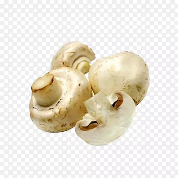 普通蘑菇食用蘑菇-创意拉小白菇免费