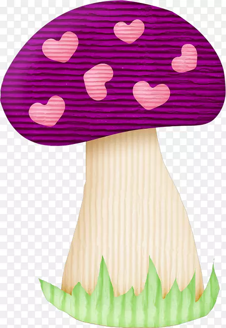 蘑菇画菌.手绘蘑菇
