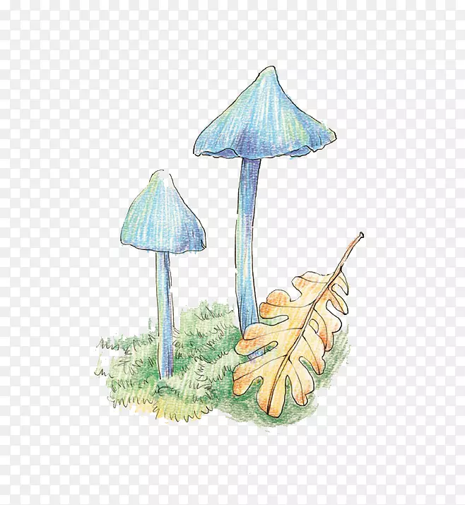 水彩画卡通彩色铅笔插图.手绘蘑菇