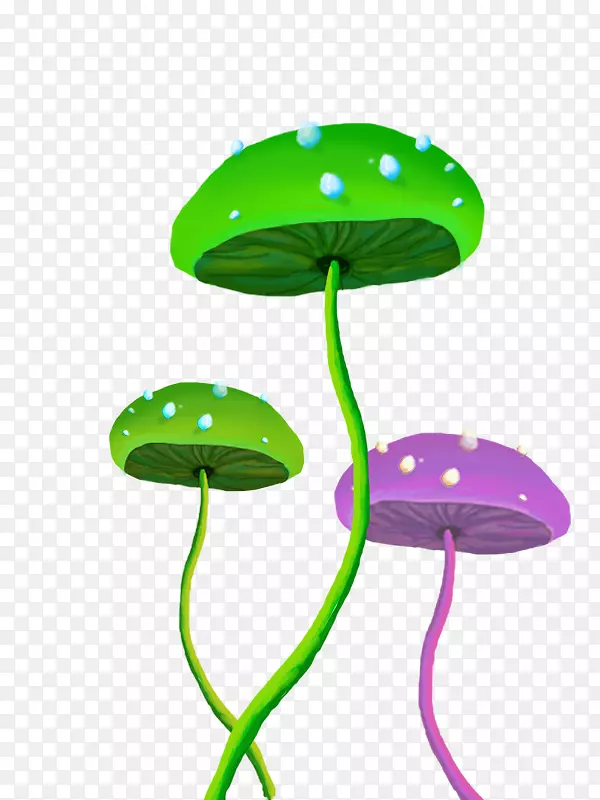 叶植物茎夹艺术手绘蘑菇