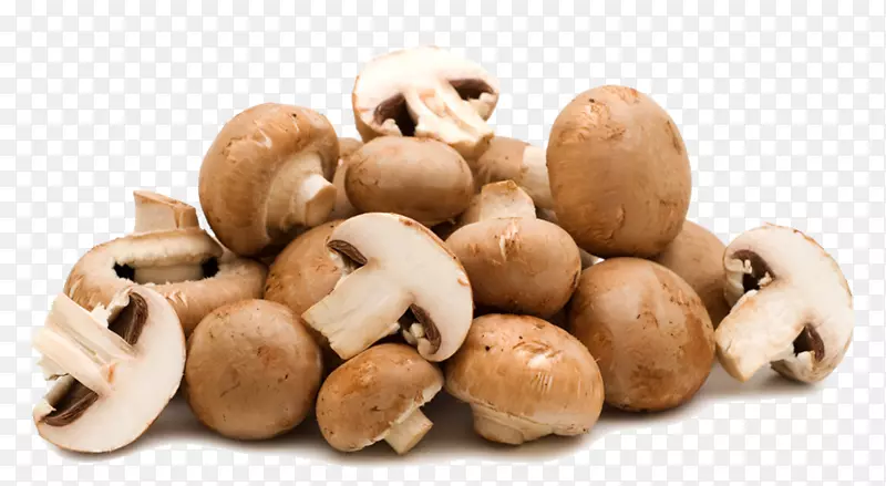 普通蘑菇香菇食品真菌物理摄影蘑菇
