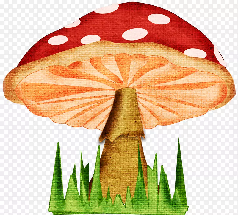 蘑菇画-卡通大蘑菇