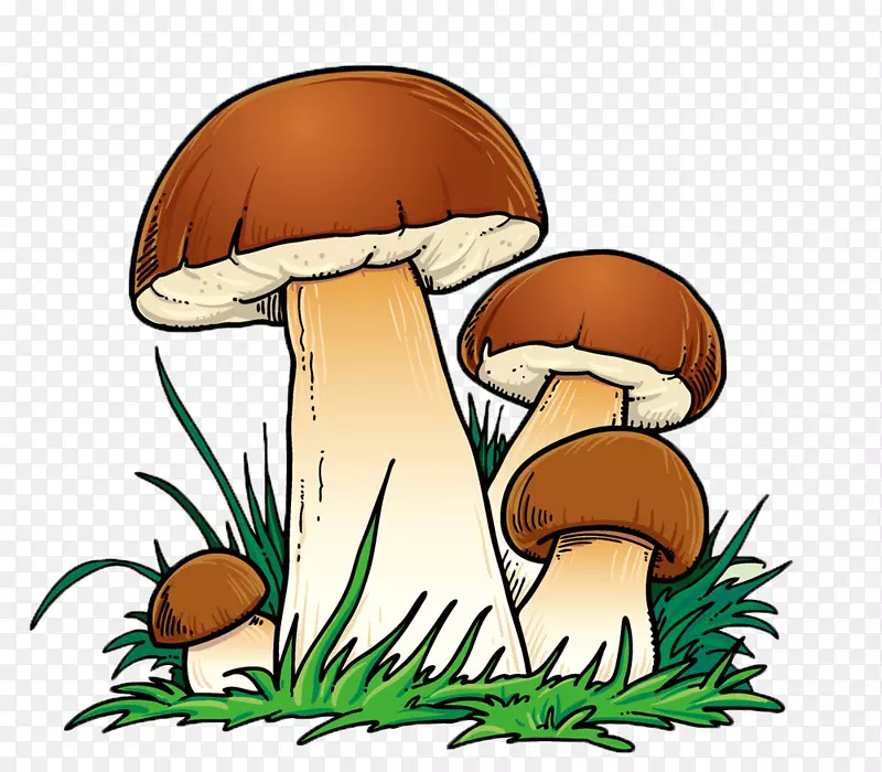 蘑菇卡通-蘑菇，可爱，卡通，颜色