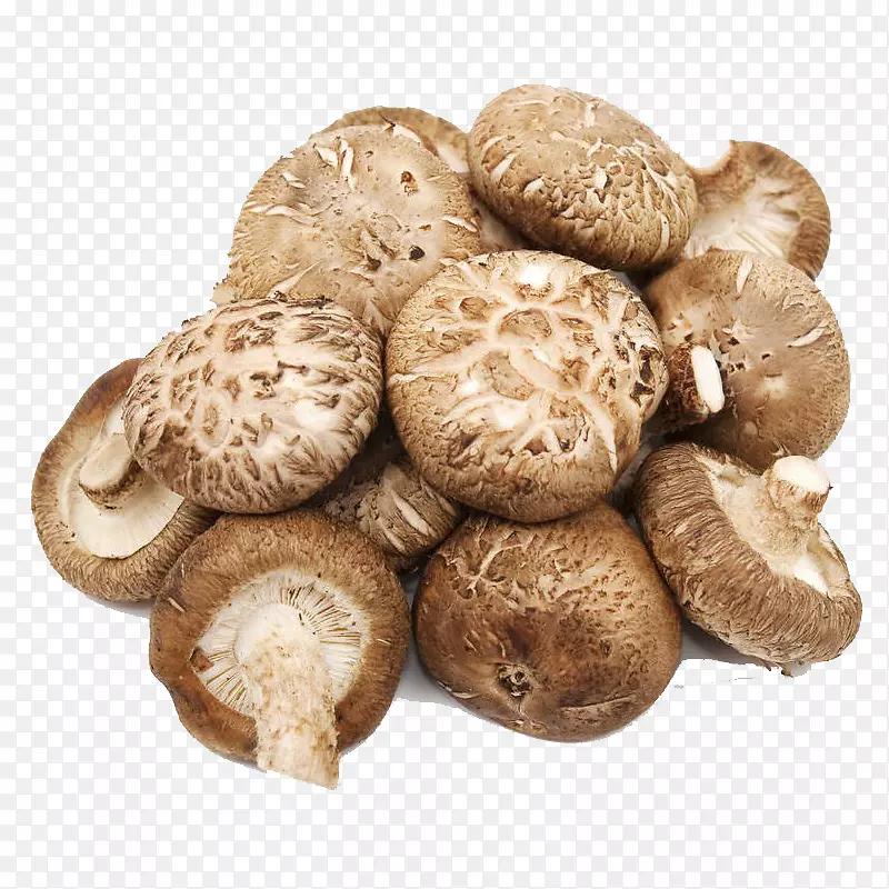 是的，生产抗性淀粉，益生马铃薯淀粉-美味的鲜菇