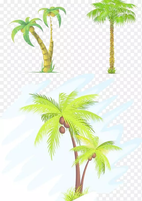 椰子树-槟榔科剪贴画-椰子树彩绘