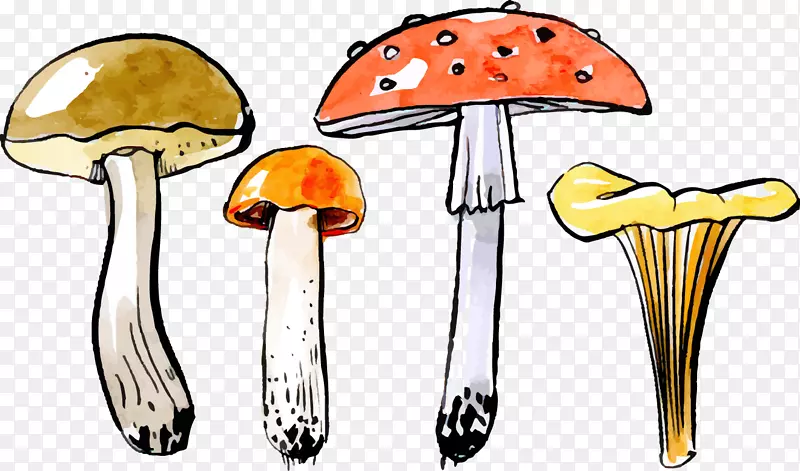 秋菇-媒介漆蘑菇