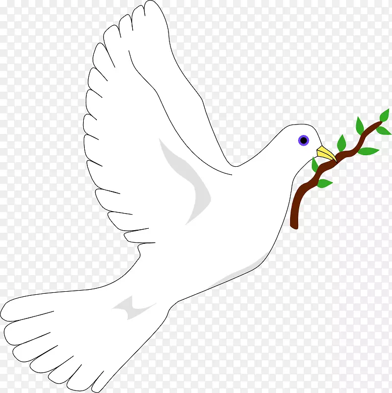 鸽科和平符号橄榄枝鸽子作为符号.鸽子图形