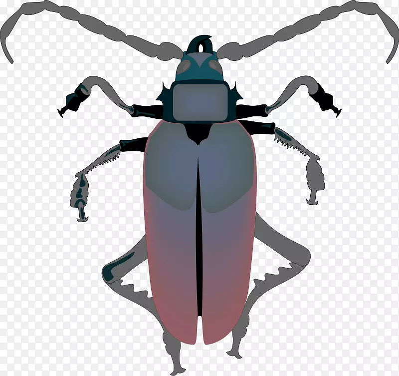 蟑螂下载免费剪贴画昆虫照片