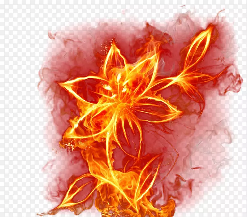 火焰活壁纸火焰三色壁纸-创意火焰花