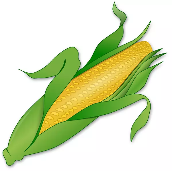 玉米上的玉米糖玉米甜玉米剪贴画