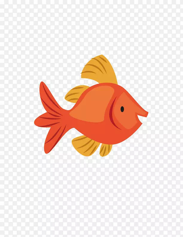 鱼红-可爱的鱼