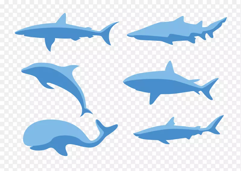 普通宽吻海豚剪贴画-多种鱼类