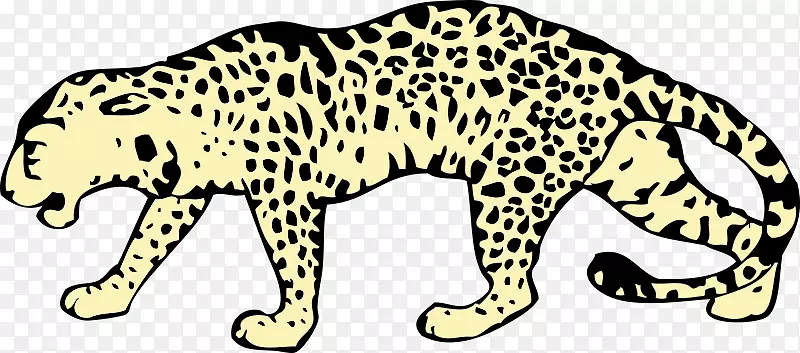 银豹黑豹美洲豹猎豹猫科豹棒球队