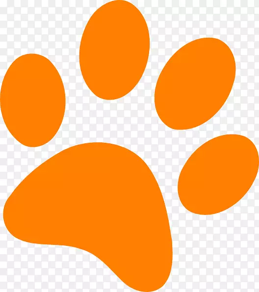 虎黑豹猫克莱姆森大学狗-美洲狮爪夹
