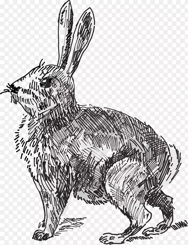 白兔复活节兔子剪贴画-免费兔子图片