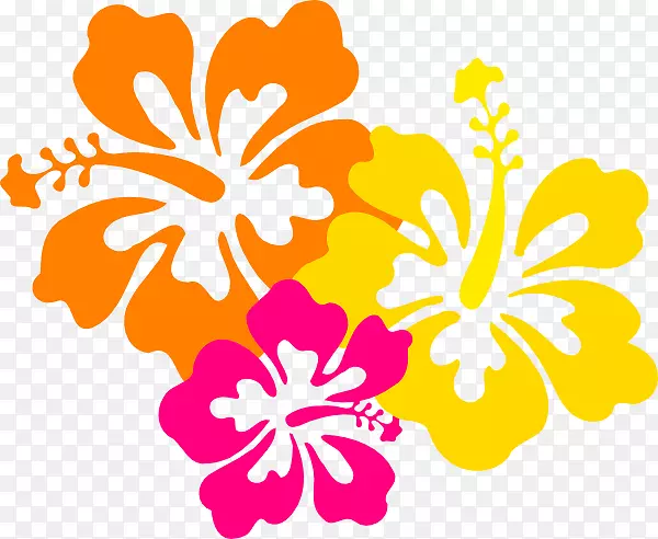 夏威夷插花艺术-芙蓉花画