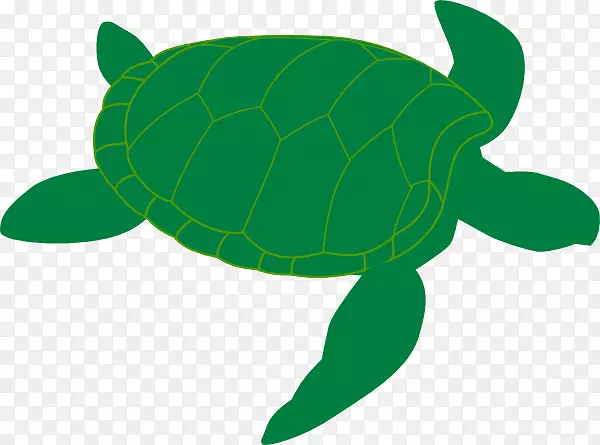 绿海龟剪贴画-海龟剪贴画