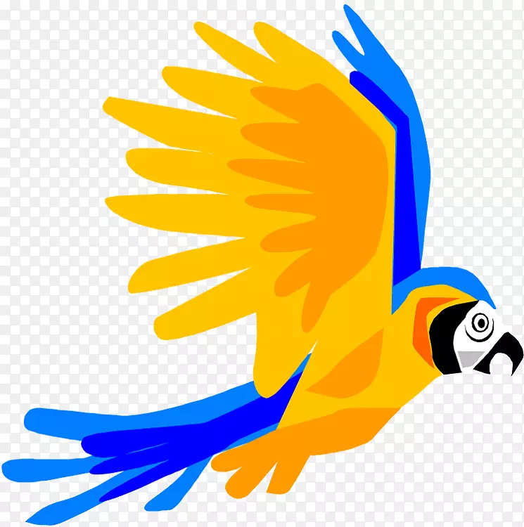 鹦鹉鸟飞行金刚片艺术.鹦鹉的卡通图片