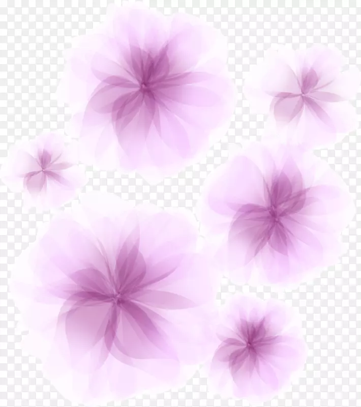 桌面壁纸花瓣紫罗兰墙纸-梦幻花装饰设计