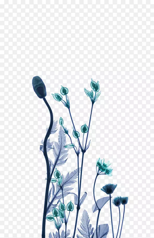 艺术艺术家的X光发生器作品-绿色梦花装饰图案