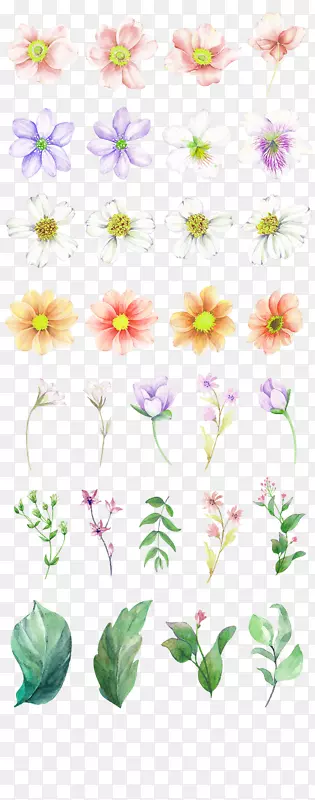 水彩画下载-白梦花园花卉装饰图案