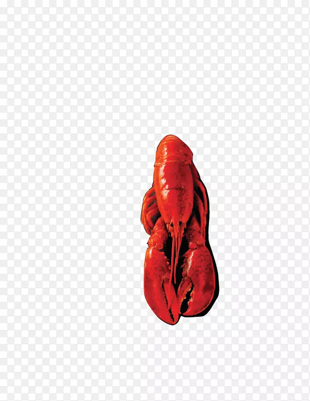 红鞋-龙虾图片