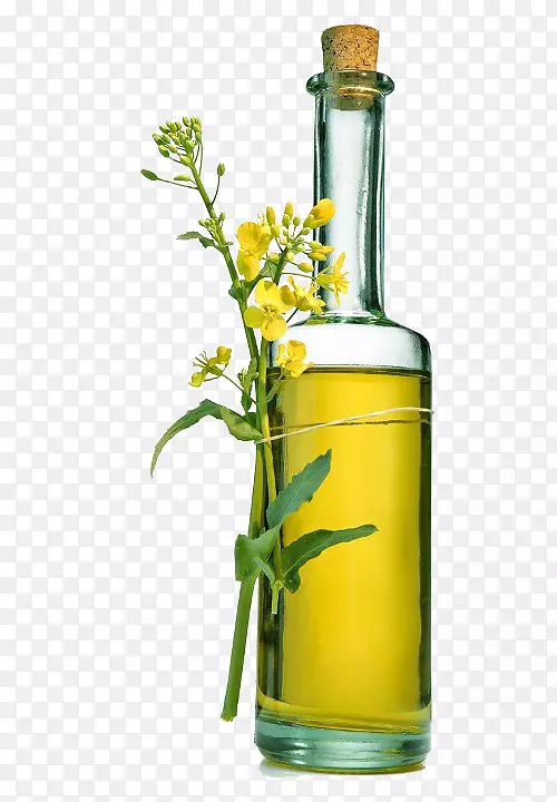 橄榄油菜籽瓶食用油花椰菜和一瓶菜籽油