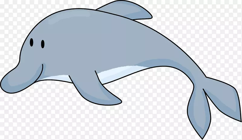 普通宽吻海豚图库溪粗齿海豚剪贴画花式海豚剪贴画
