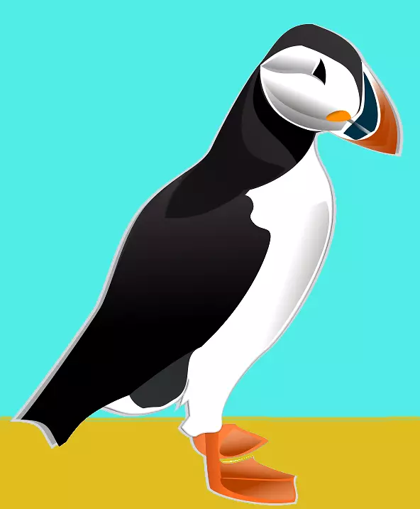 大西洋海雀企鹅角海雀群居海雀悬崖峭壁
