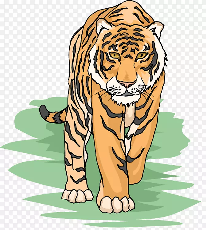 西伯利亚虎孟加拉虎免费内容剪辑艺术-虎栖息地剪贴画