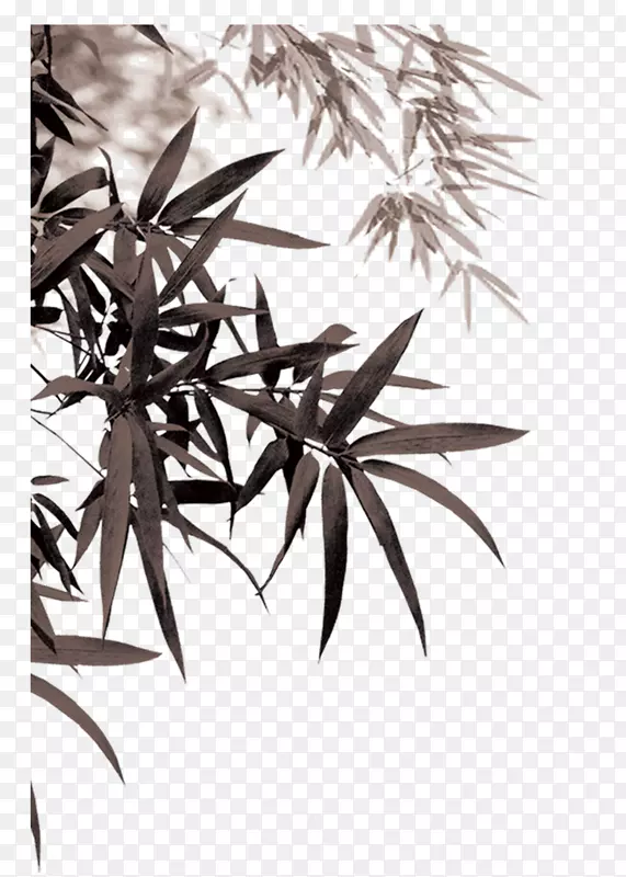 竹子下载-墨水竹叶PNG图片素材下载_图片编号557279-PNG素材网